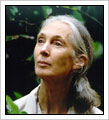 UserFiles/Image/jane Goodall.jpg