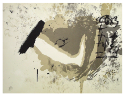 Files/1329677421 Tapies 2 R256x192.png