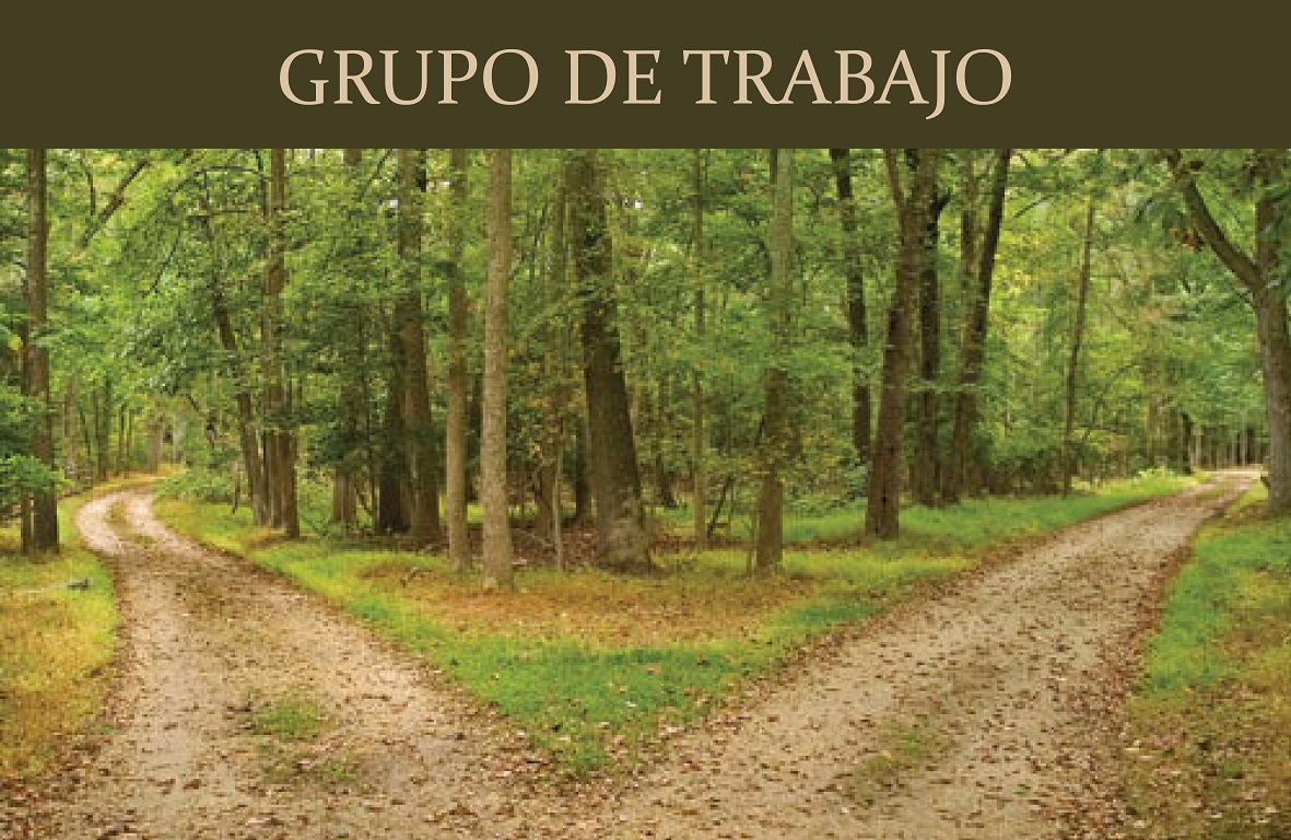 21 CRUILLA ESP