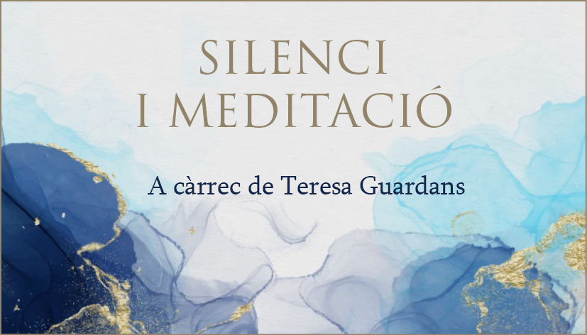 13 silenci cat