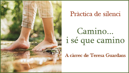 14 CAMINAR